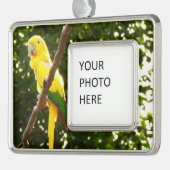 Gelbpapagei Rahmen-Ornament Silber (Links)