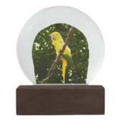 Gelbpapagei Schneekugel (Rückseite)