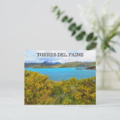 Gelbpatagonie Postkarte (Stehend Vorderseite)