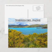 Gelbpatagonie Postkarte (Vorne/Hinten)
