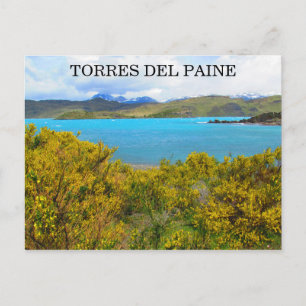 Gelbpatagonie Postkarte