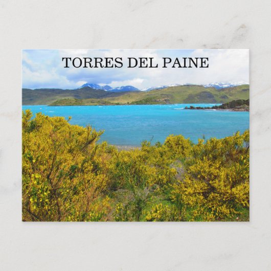 Gelbpatagonie Postkarte (Vorderseite)