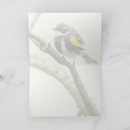 Gelbraupe Karte (Innenseite)