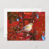 Gelbraupe Postkarte (Vorne/Hinten)