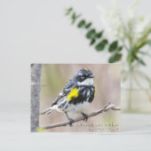 Gelbraupe Postkarte (Stehend Vorderseite)