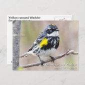 Gelbraupe Postkarte (Vorne/Hinten)