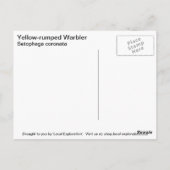 Gelbraupe Postkarte (Rückseite)