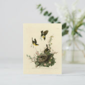 Gelbreiher Chat Postkarte (Stehend Vorderseite)