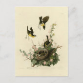 Gelbreiher Chat Postkarte (Vorderseite)