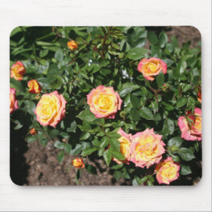 Gelbrosa Blume Mousepad