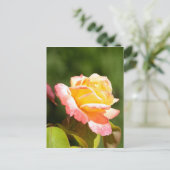 Gelbrosa-Foto Postkarte (Stehend Vorderseite)