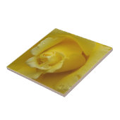 Gelbrosa-Keramik Fliese (Seite)