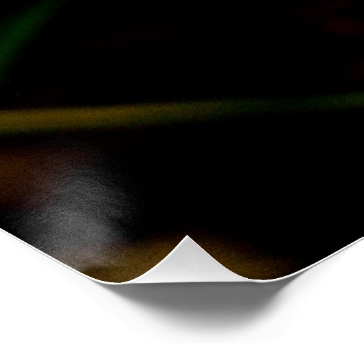 Gelbrosa Lila Miltonia Sunset Orchideen Poster (Ecke)