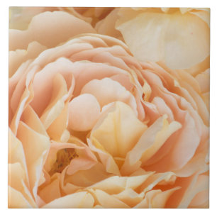 Gelbrose-Blume Fliese