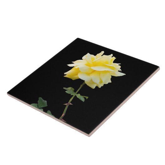 Gelbrose-Blume Fliese (Seite)