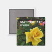 Gelbrose-Blume-Magnet Magnet (Vorderseite/Rückseite)