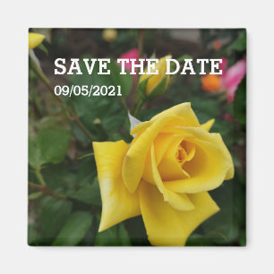 Gelbrose-Blume-Magnet Magnet