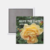 Gelbrose-Blume-Magnet Magnet (Vorderseite/Rückseite)