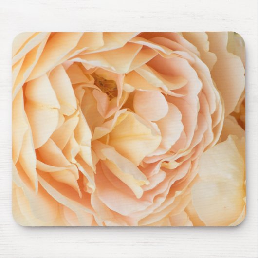 Gelbrose-Blume Mousepad (Vorne)