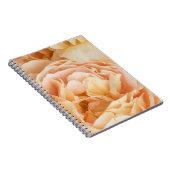 Gelbrose-Blume Notizblock (Rechte Seite)