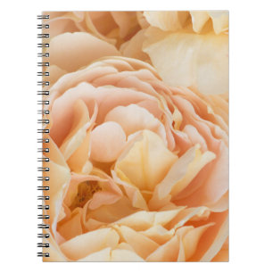 Gelbrose-Blume Notizblock