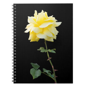 Gelbrose-Blume Notizblock