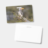 Gelbschnabelhecht Ausweis (Vorder- & Rückseite)