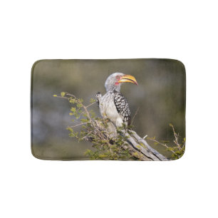 Gelbschnabelhecht Badematte