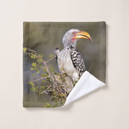 Gelbschnabelhecht Badhandtuch Set (Waschlappen)