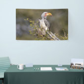 Gelbschnabelhecht Banner (Messeveranstaltung)