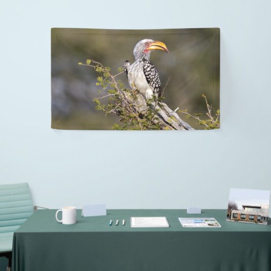 Gelbschnabelhecht Banner (Messeveranstaltung)