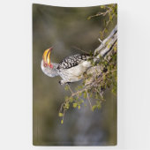 Gelbschnabelhecht Banner (Vertikal)