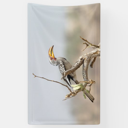 Gelbschnabelhecht Banner (Vertikal)