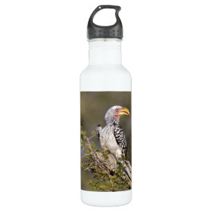 Gelbschnabelhecht Edelstahlflasche