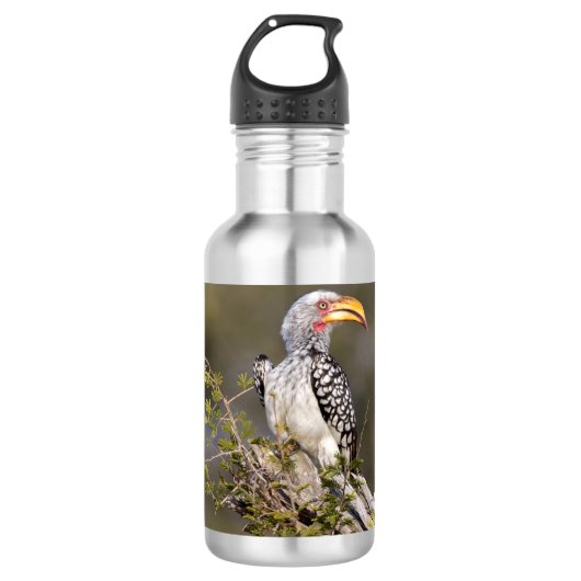Gelbschnabelhecht Edelstahlflasche (Vorderseite)