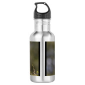 Gelbschnabelhecht Edelstahlflasche (Rückseite)