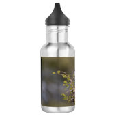 Gelbschnabelhecht Edelstahlflasche (Links)