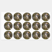 Gelbschnabelhecht Etiketten (Blatt)