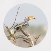 Gelbschnabelhecht Etiketten (Design 1)