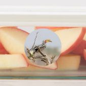 Gelbschnabelhecht Etiketten (Befestigt)