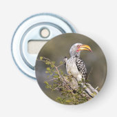 Gelbschnabelhecht Flaschenöffner (Vorderseite)