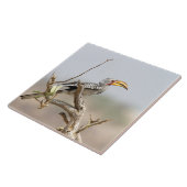 Gelbschnabelhecht Fliese (Seite)