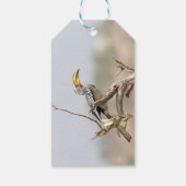 Gelbschnabelhecht Geschenkanhänger (Rückseite)