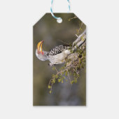 Gelbschnabelhecht Geschenkanhänger (Vorderseite)