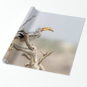 Gelbschnabelhecht Geschenkpapier