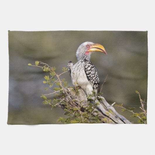 Gelbschnabelhecht Geschirrtuch (Horizontal)