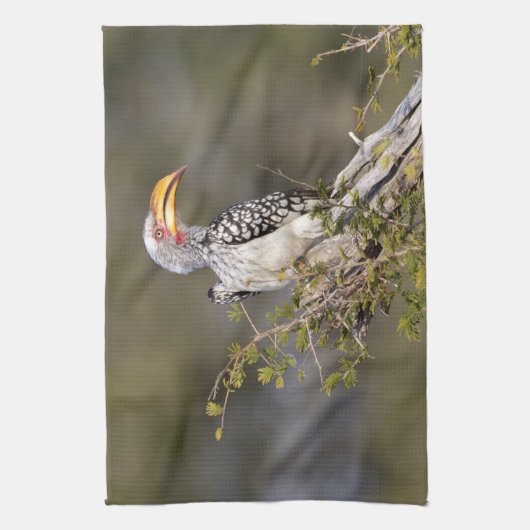 Gelbschnabelhecht Geschirrtuch (Vertikal)