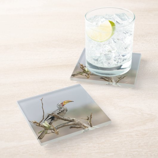 Gelbschnabelhecht Glasuntersetzer (Schrägansicht)