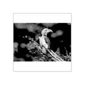 Gelbschnabelhecht Gummistempel (Prägung)