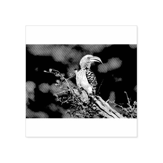 Gelbschnabelhecht Gummistempel (Prägung)